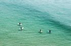 Morocco Surf