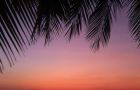 Stone Beach Club Sunset