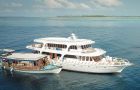 Surfboat Maldives and Dhoni