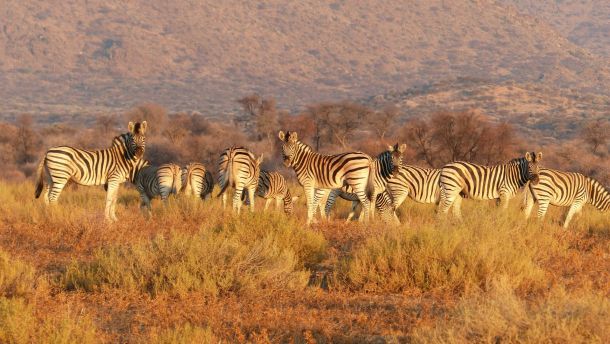 Namibia Adventure