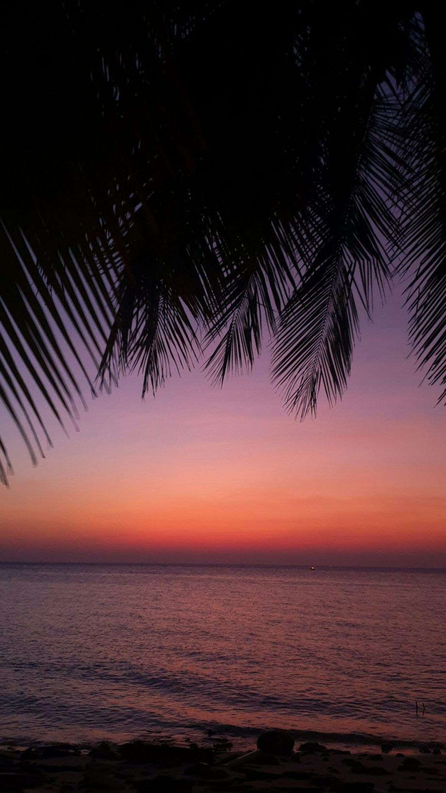 Stone Beach Club Sunset